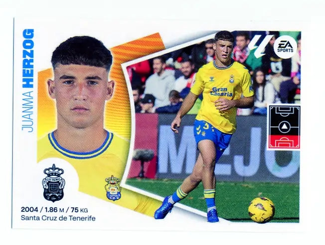 Liga Este-2024-25-Panini-Cromo Trading Card Fútbol- Herzog-Las Palmas-9-Básico