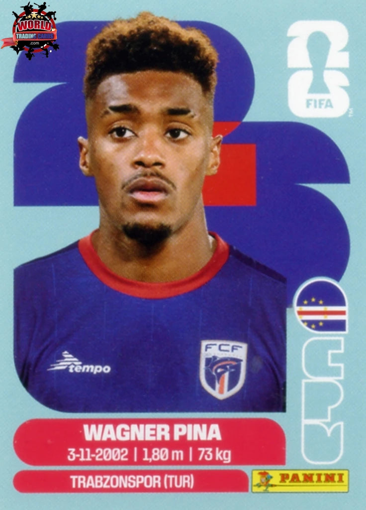 コメントにてバラ売り可 PANINI FIFA WORLD CUP ステッカー PANINI