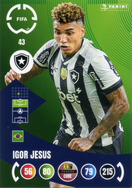 Cromo Trading Card Fútbol-Matheus Martins-Botafogo FR-Panini Club World Cup Adrenalyn XL 2025-#042-CORE / Team Mate