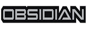 Panini Obsidian