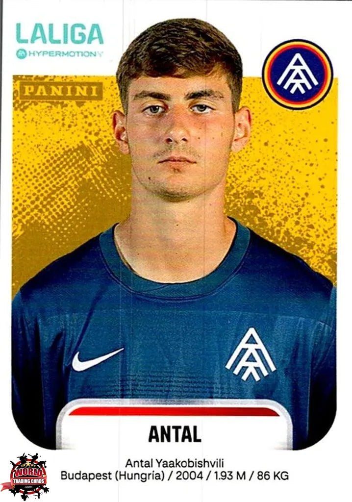 Cromo Trading Card Fútbol-Antal-FC Andorra-Panini La Liga HypermotionV 2025-2026-47B-Basico