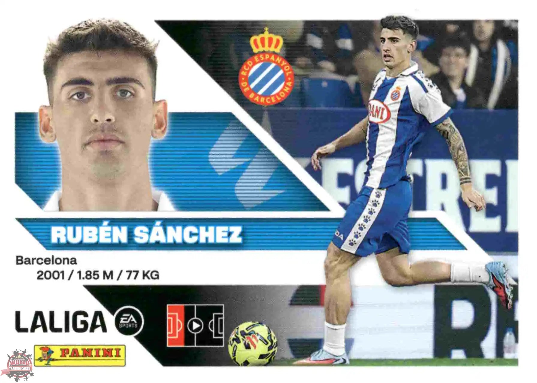 Panini | Liga Este | 2026-2027 | RCD Espanyol | Basico | #06 | Rubén Sánchez